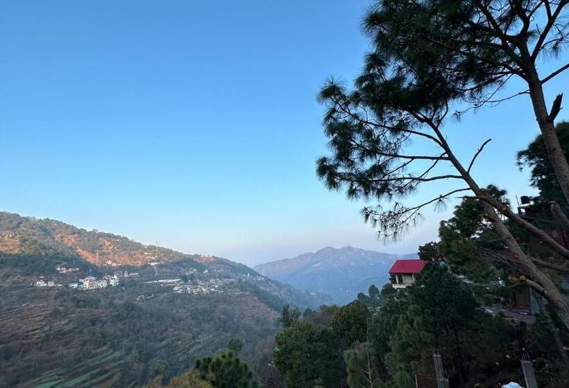 Номер Economy, F S Kasauli