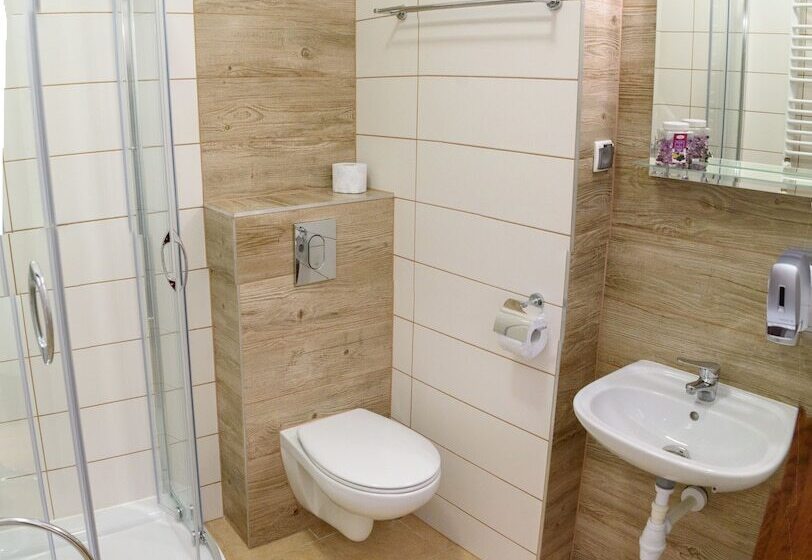 Номер Стандарт Индивидуальный, Amelia Zdroj Medical & Spa