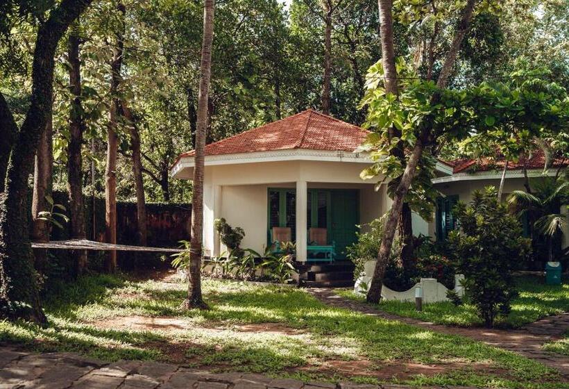 اتاق استاندارد با تخت بزرگ, Paddlecult Surf Retreat