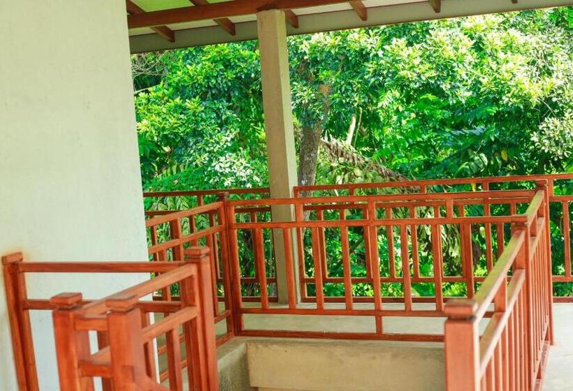 标准间, Yino Villa Midigama
