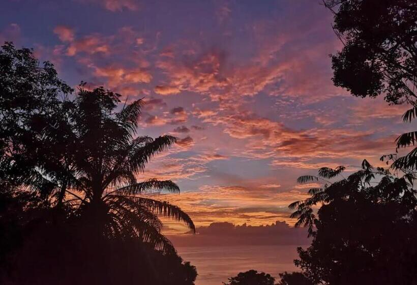 Номер Deluxe, Mizaru   Seaview Central Manuel Antonio