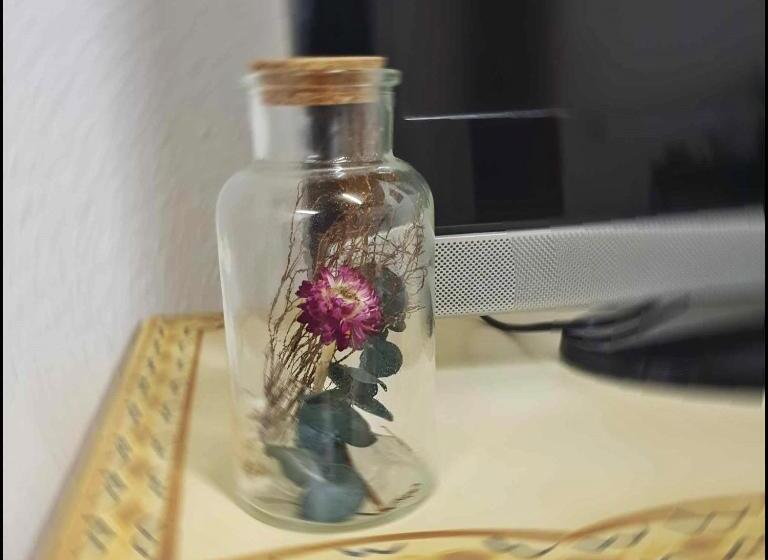 חדר סטנדרט נוף לגינה, Appartement
