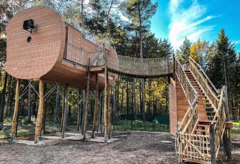 Полулюкс Повышенной Комфортности, Tree Inn   Das Baumhaus