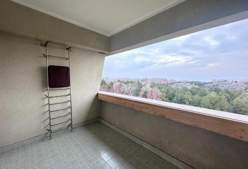 1 Bedroom Apartment Lake View, санаторий аврора