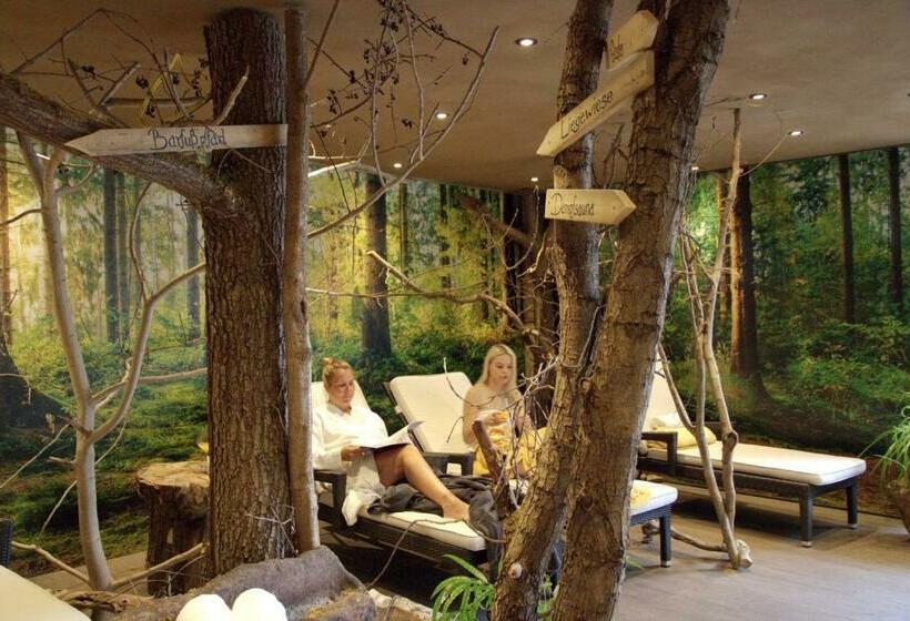 Номер Комфорт, Landhotel Am Rothenberg