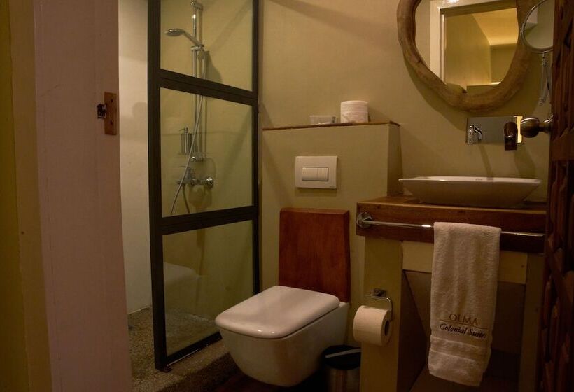 ２ベッドルームデラックスアパートメント, Olma Colonial Suites