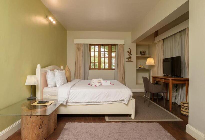 バルコニー付き１ベッドルームアパートメント, Olma Colonial Suites