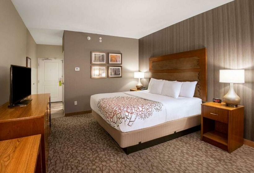 חדר סטנדרט עם מיטת קינג, La Quinta By Wyndham Durango