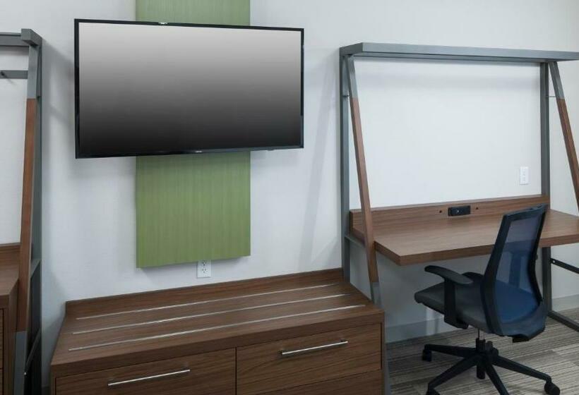 스탠다드 룸, Holiday Inn Express & Suites   Orlando At Seaworld, An Ihg