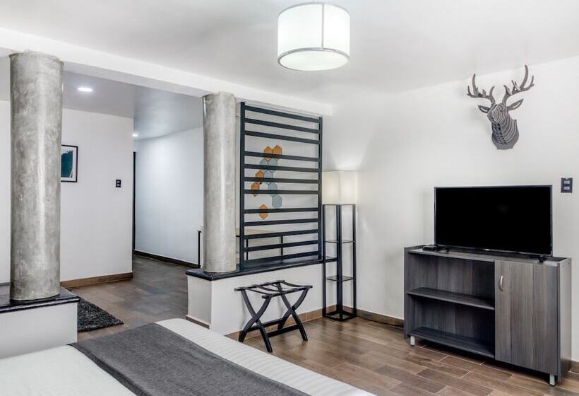 Habitación Superior, Vn