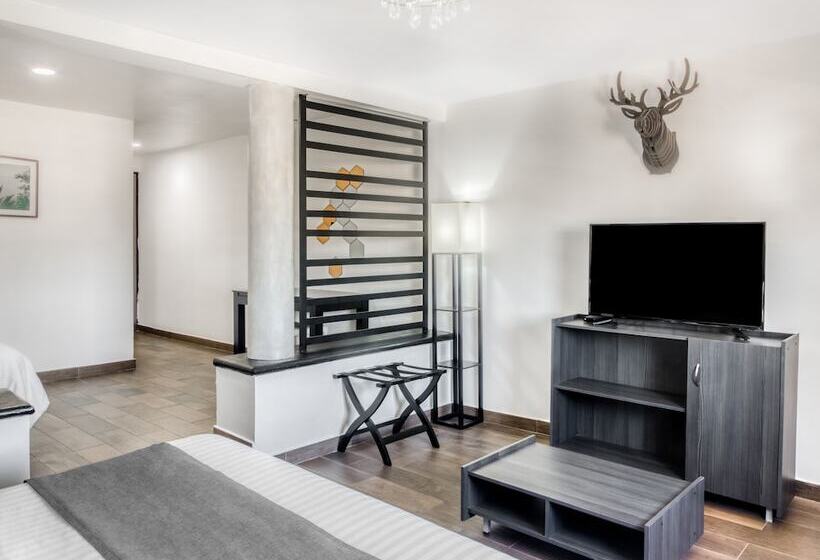 Habitación Superior, Vn