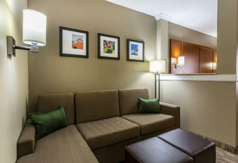 سوئیت با تخت بزرگ, Comfort Suites University