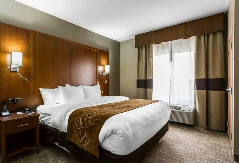 سوئیت با تخت بزرگ, Comfort Suites University