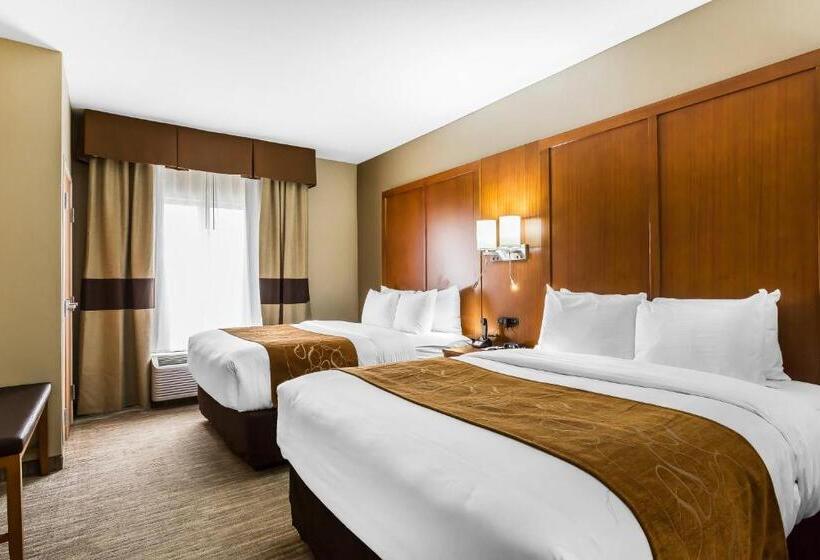 سوئیت برای معلولان, Comfort Suites University