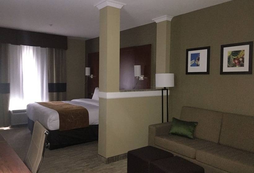 سوییت, Comfort Suites University