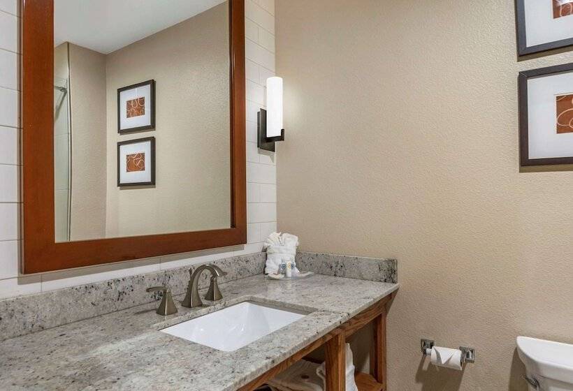 سوییت, Comfort Suites University