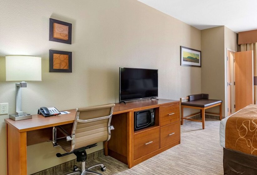 سوئیت برای معلولان, Comfort Suites University