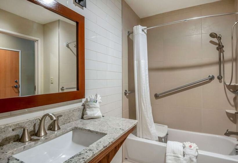 سوئیت برای معلولان, Comfort Suites University