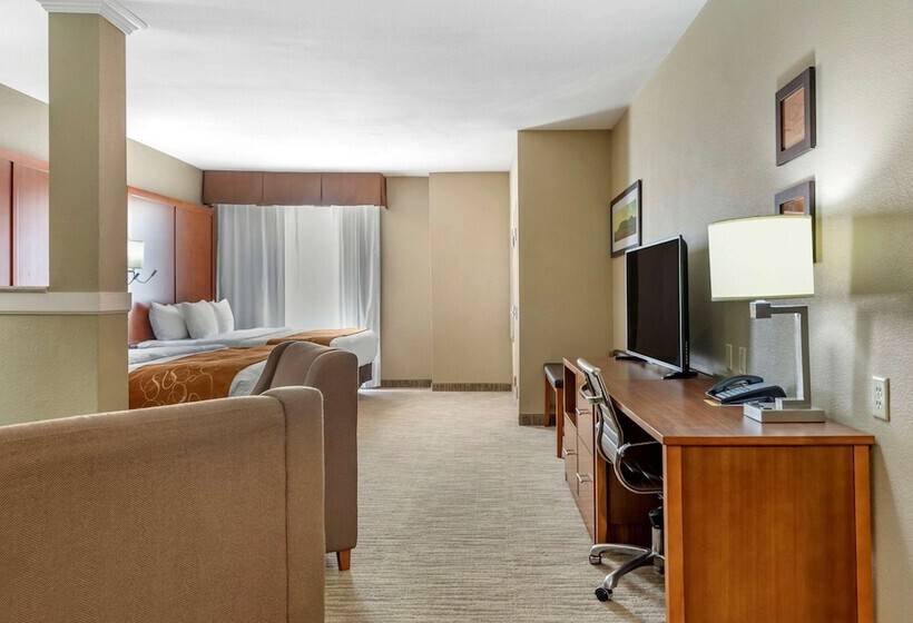 سوئیت برای معلولان, Comfort Suites University