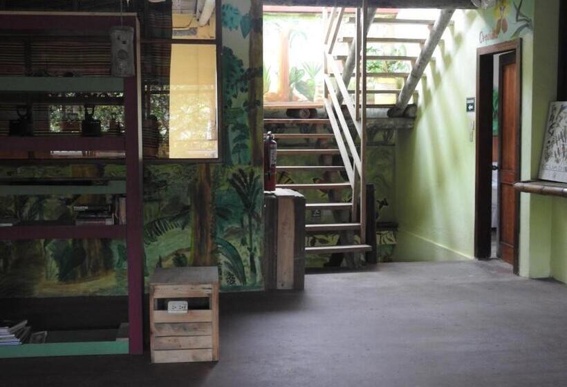 Семейный Номер, Biohostal Mindo Cloud Forest