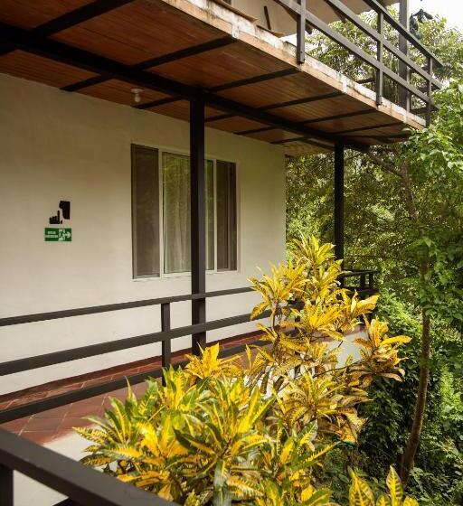 标准间带山景, La Selva Reserva
