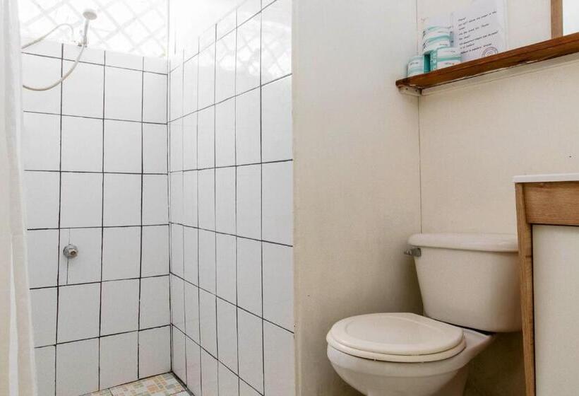 Номер Стандарт, Bajo El Arbol B&b