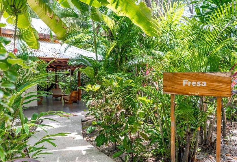 Бунгало Deluxe, Banana Beach Bungalows