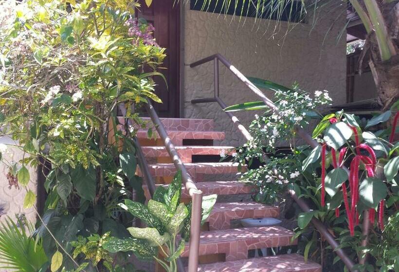 Четырехместный Номер Стандарт, Coyaba Tropical Elegant Adult Guesthouse