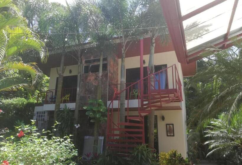 Студия Стандарт, Coyaba Tropical Elegant Adult Guesthouse