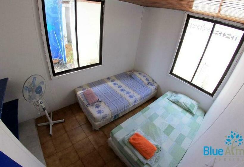 חדר סטנדרט, Blue Almond Hostel   San Andres