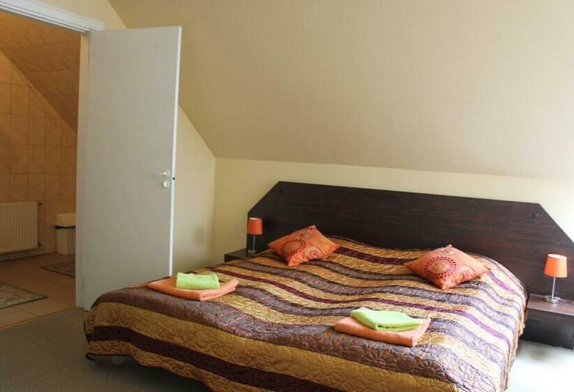 اتاق استاندارد, City Center Kaķis B&b