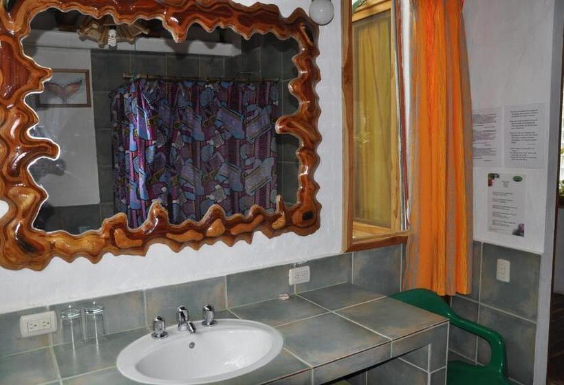 غرفة قياسية, Hostería Mandála