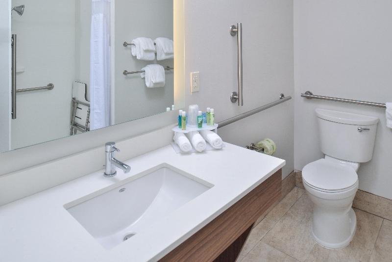장애인을 위한 킹사이즈 침대 스탠다드 룸, Holiday Inn Express & Suites   Brighton South   Us 23, An Ihg