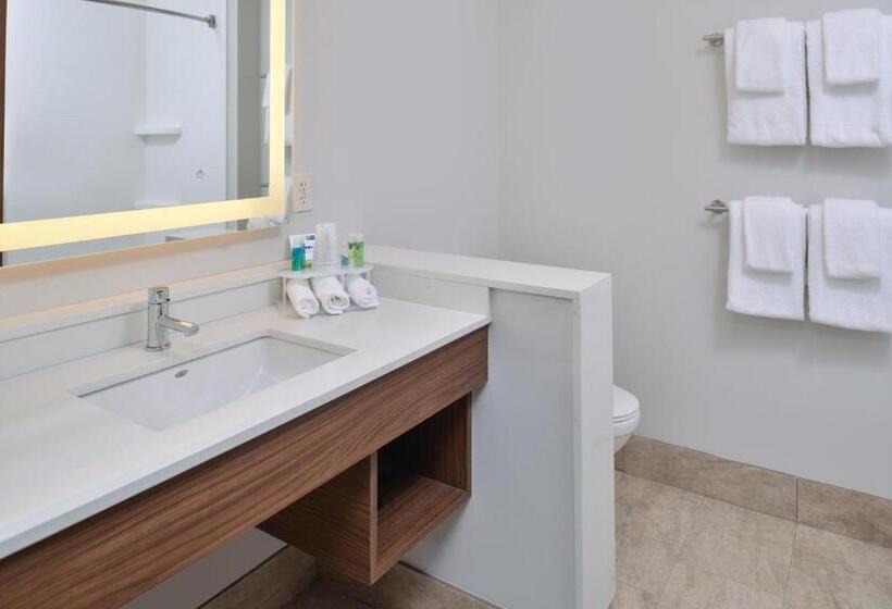 Номер Стандарт Адаптированный для Инвалидов, Holiday Inn Express & Suites   Brighton South   Us 23, An Ihg
