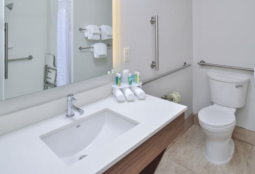 장애인을 위한 스위트, Holiday Inn Express & Suites   Brighton South   Us 23, An Ihg