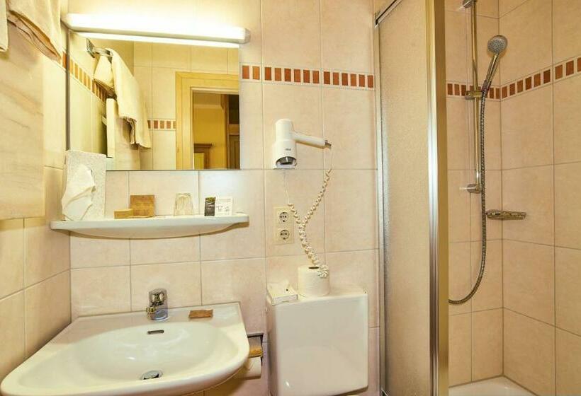 Номер Стандарт Индивидуальный, Alpenhotel Hundsreitlehen