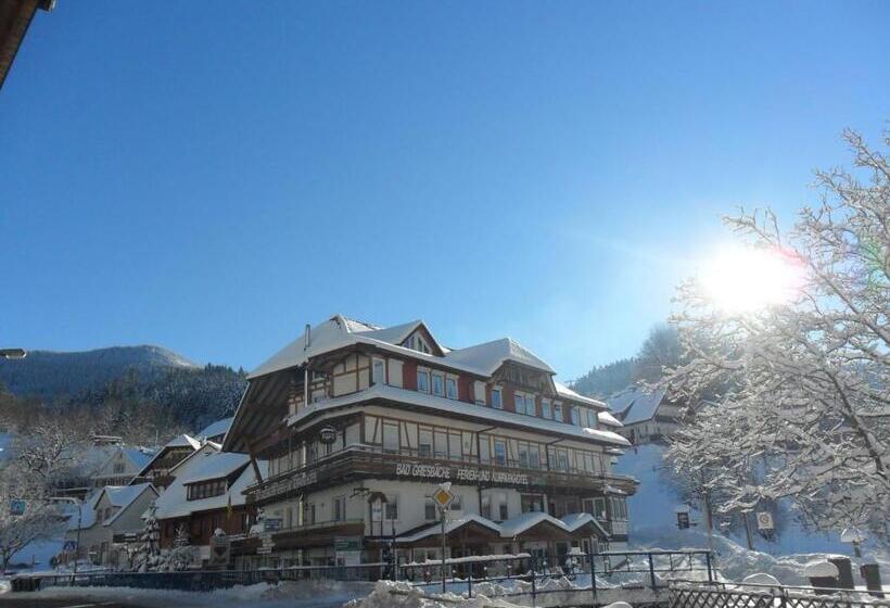 침실 1개 수피리어 아파트, Kurparkhotel Faißt