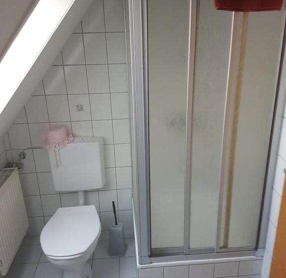 Пентхаус, Pension Zum Grünen Wald