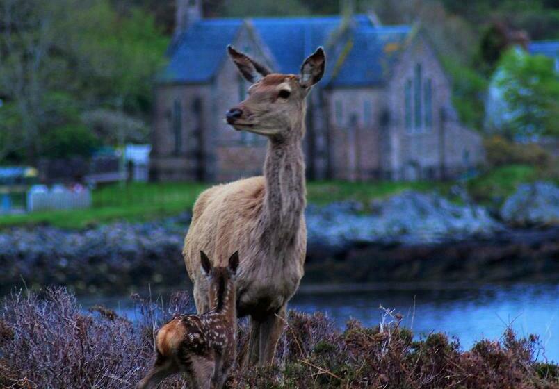 Номер Deluxe Вид на Море, Davar