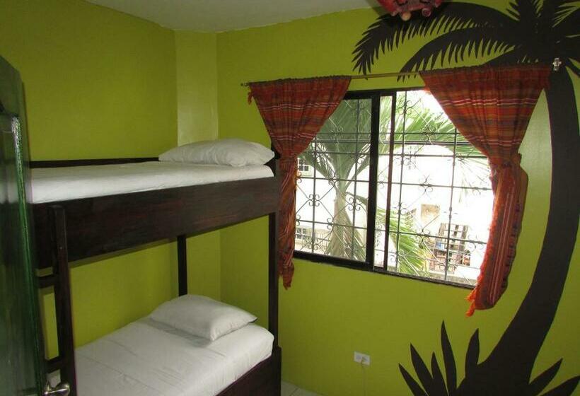 تختخواب در اتاق مشترک, Dreamkapture Hostel Close To The Airport And Bus Terminal