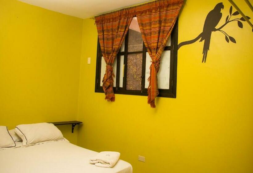 اتاق استاندارد با سرویس بهداشتی مشترک, Dreamkapture Hostel Close To The Airport And Bus Terminal