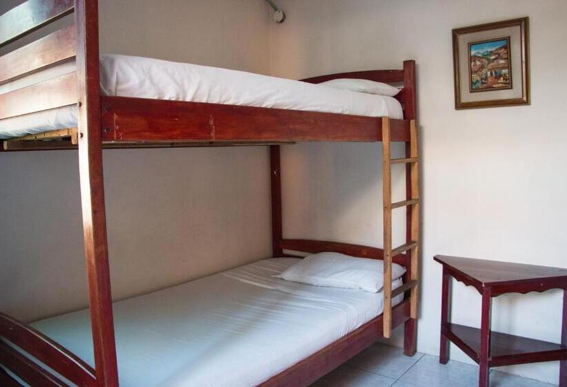 تختخواب در اتاق مشترک, Dreamkapture Hostel Close To The Airport And Bus Terminal
