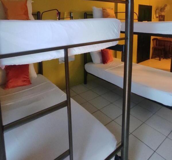 اتاق خانوادگی, Dreamkapture Hostel Close To The Airport And Bus Terminal