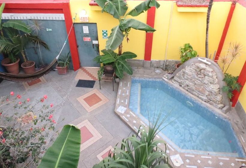 تختخواب در اتاق مشترک, Dreamkapture Hostel Close To The Airport And Bus Terminal