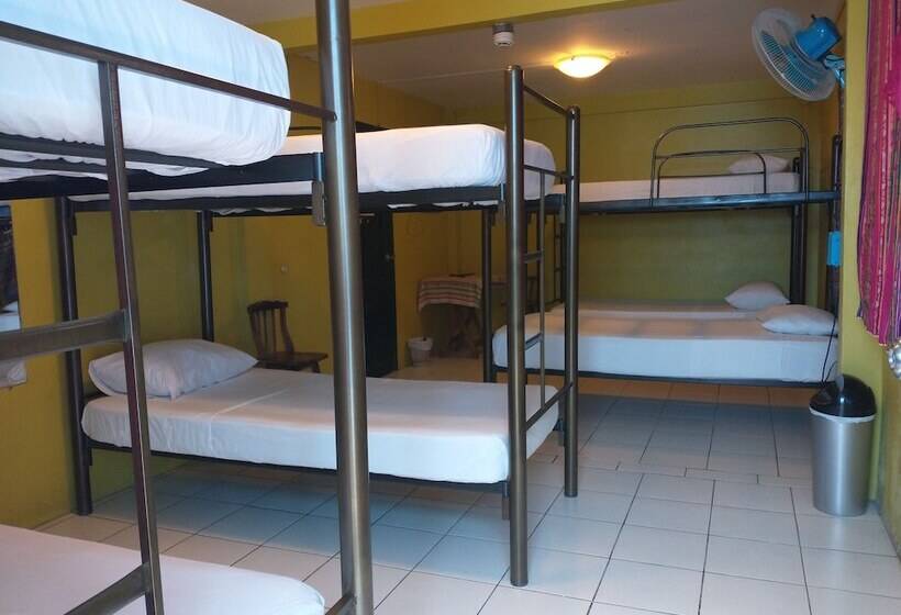 تختخواب در اتاق مشترک, Dreamkapture Hostel Close To The Airport And Bus Terminal