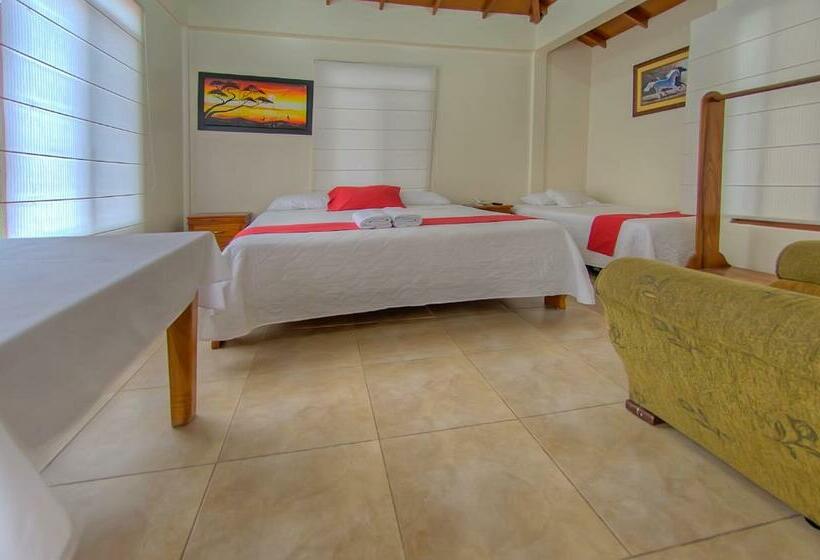 اتاق استاندارد با تخت بزرگ, San Vicente Galapagos