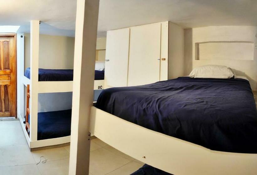 تختخواب در اتاق مشترک, Minka Hostel