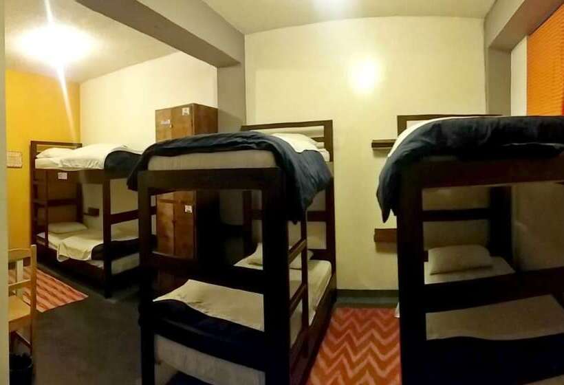 تختخواب در اتاق مشترک, Minka Hostel