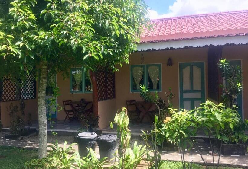 Standard-huone, Soluna Guest House