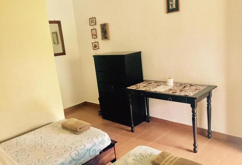 Standard-huone, Soluna Guest House